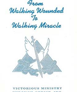 Walking Wounded Cover by Anne S. White